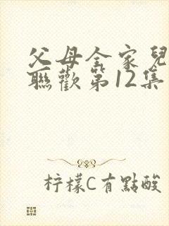 父母全家儿女大联欢第12集封面