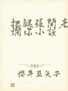 把腿张开老子臊烂你小说封面