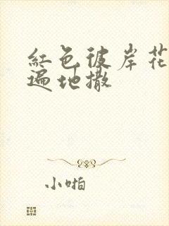 红色彼岸花花瓣遍地撒