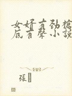 女婿有劲枪枪到底有声小说封面