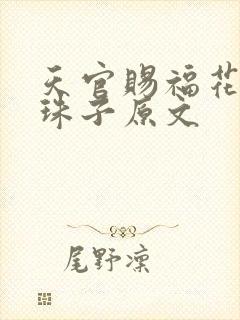 天官赐福花怜塞珠子原文