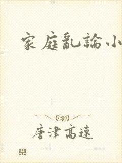 家庭乱论小说