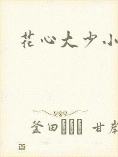 花心大少小说