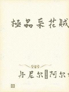 极品采花贼封面