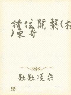 错位关系(校园)东哥