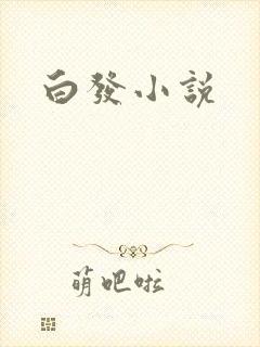 白发小说