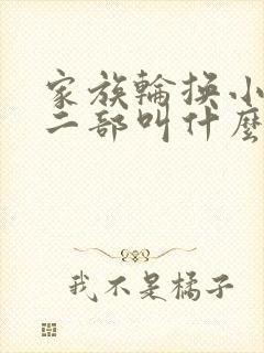 家族轮换小说第二部叫什么名字