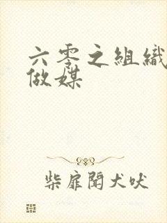 六零之组织给我做媒