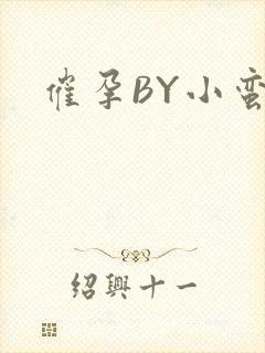 催孕BY小蛮腰封面
