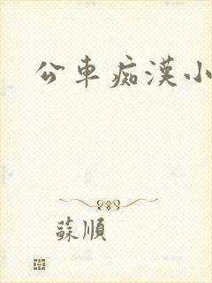 公车痴汉小说