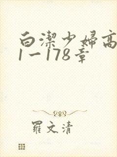 白洁少妇高义第1一178章