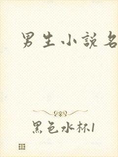 男生小说名字