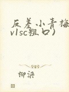 反差小青梅(1v1sc粗口)