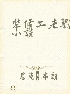 装修工老刘林雪小说