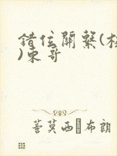 错位关系(校园)东哥