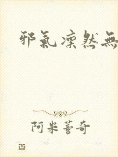 邪气凛然无弹窗