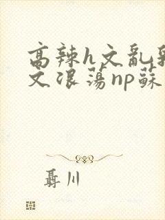 高辣h文乱乳h文浪荡np苏夏