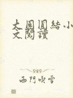 大团圆结小茹全文阅读