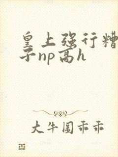 皇上强行糟蹋太子np高h