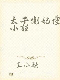 太子侧妃傻乎乎小说