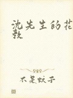 沈先生的花式调教