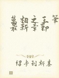 万相之王笔趣阁最新章节