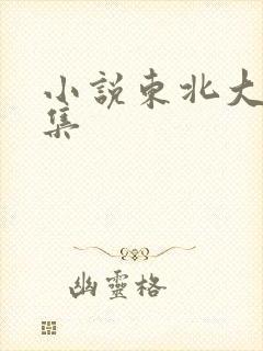 小说东北大炕全集