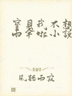 宝贝我不想带小雨伞啦小说