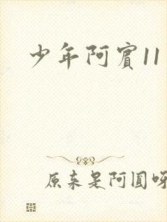 少年阿宾11