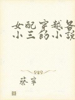 女配穿越各个做小三的小说封面