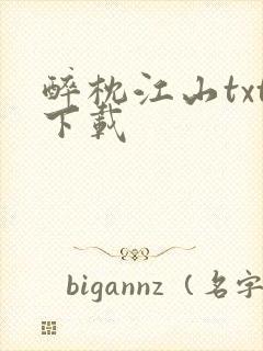 醉枕江山txt下载