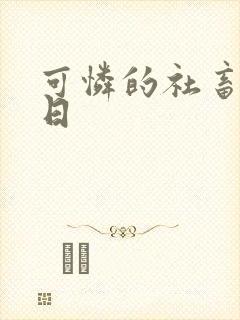 可怜的社畜东度日