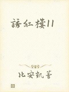 诱红楼11