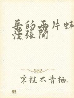 岳的两片蚌肉慢慢张开