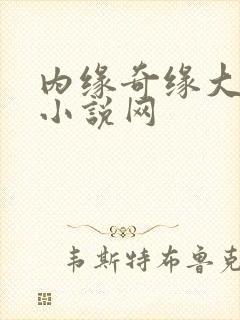 内缘奇缘大团圆小说网封面