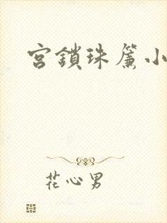 宫锁珠帘小说封面