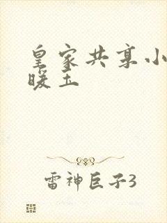 皇家共享小公主暖玉