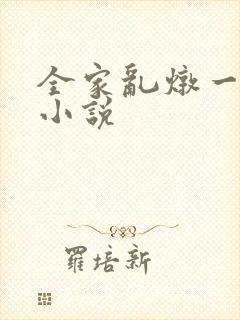 全家乱炖一锅烩小说