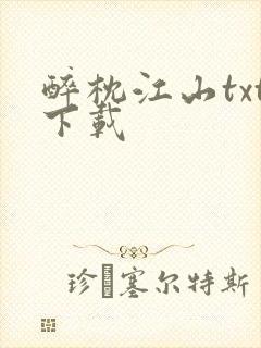 醉枕江山txt下载