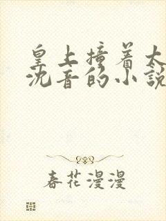 皇上撞着太子妃沈音的小说叫什么封面