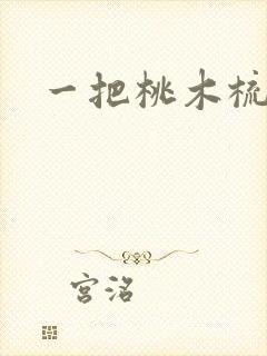 一把桃木梳封面