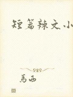 短篇辣文小说