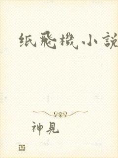 纸飞机小说