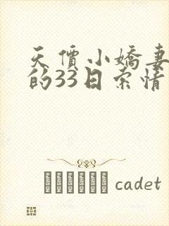 天价小娇妻总裁的33日索情