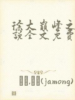 徐大巅峰之路小说全文免费阅读