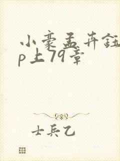 小豪孟卉钰慧三p上79章封面