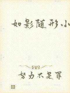 如影随形小说封面