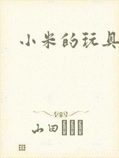 小米的玩具日记