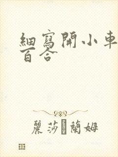 细写开小车车的百合