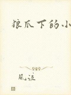 狼爪下的小雏菊